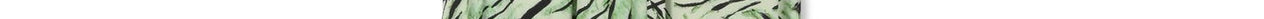 Mint green wide-leg pants with tiger print Faume - seconde main