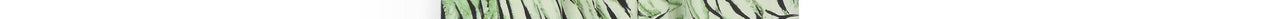 Mint green wide-leg pants with tiger print Faume - seconde main