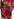 Pantalon large à imprimé fleuri multicolore Faume - seconde main
