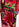 Pantalon large à imprimé fleuri multicolore Faume - seconde main