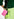 Dark green knitted sweater with fitted waist Faume - seconde main