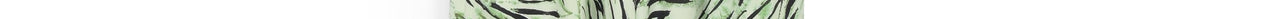 Mint green wide-leg pants with tiger print Faume - seconde main