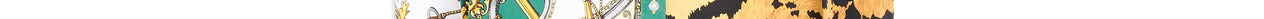 Bottle green shirt with tiger print Faume - seconde main