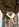Khaki green light knit sweater with contrasting cuffs Faume - seconde main