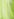 Neon yellow organic cotton T-shirt with text print Faume - seconde main
