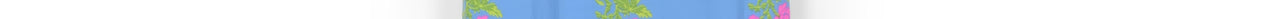 Blauwe rok met volantzoom en bloemenprint Faume - seconde main