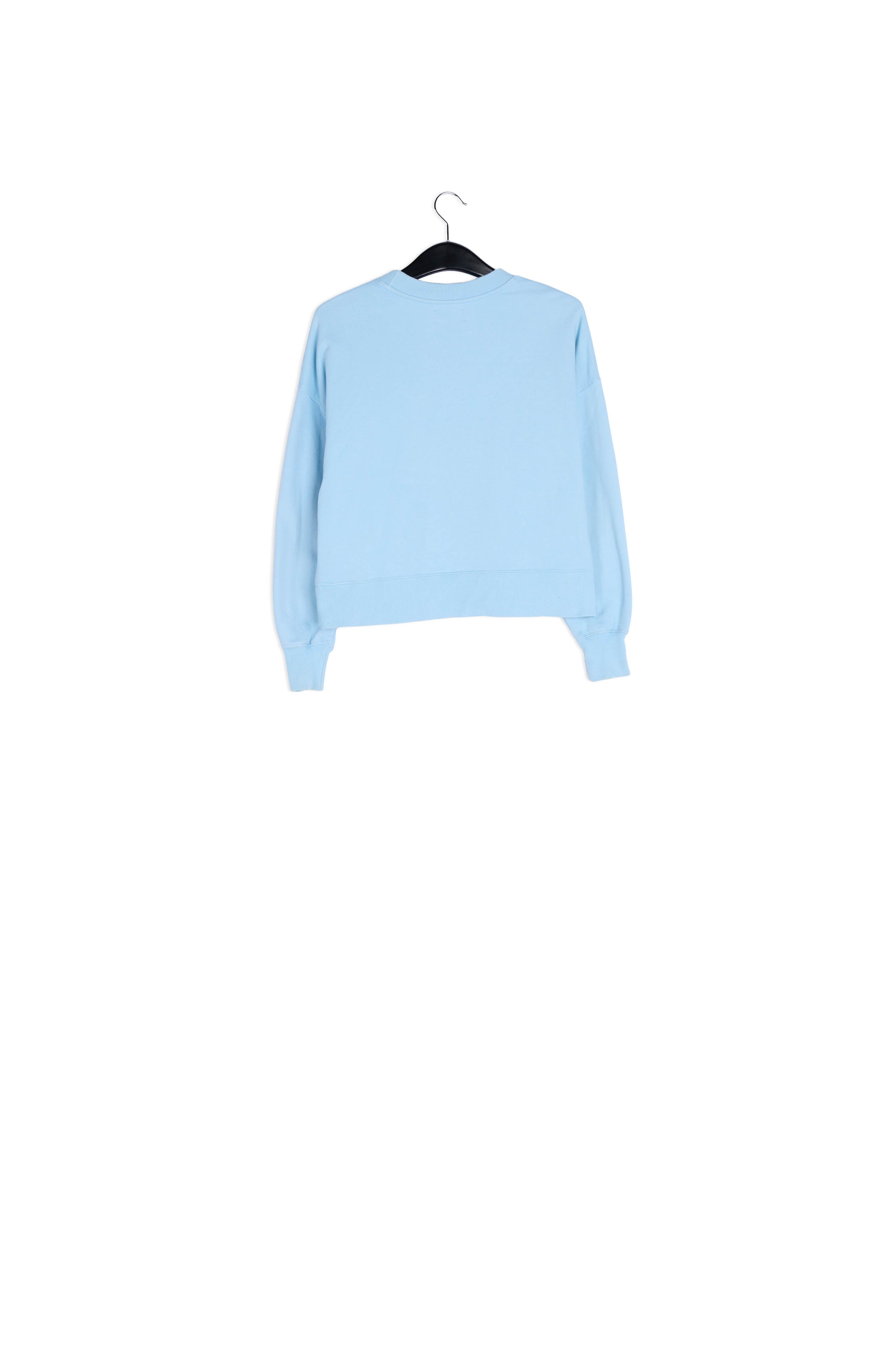 Sky blue cotton-jersey sweatshirt with 'riot' embroidery RE—SSENTIEL | Essentiel second hand