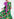 Robe chemise maxi verte à imprimé aquarelle Faume - seconde main