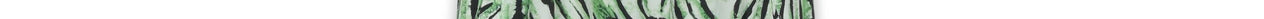 Mint green halter neck maxi dress with tiger print Faume - seconde main